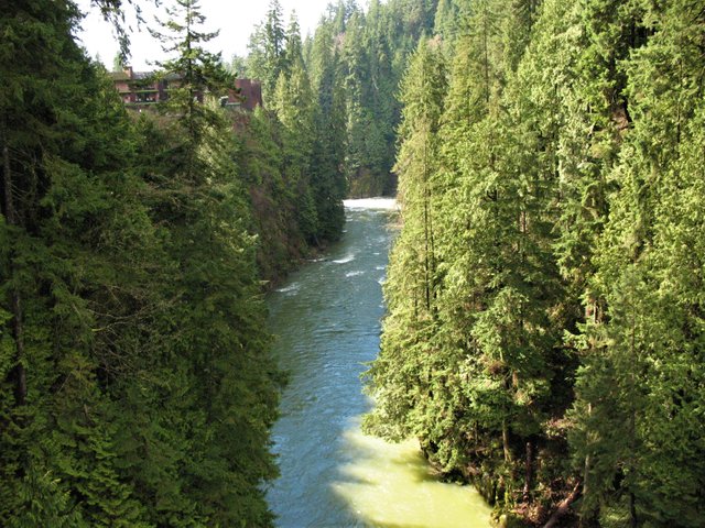 IMG_0597.JPG