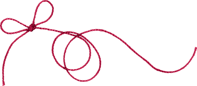 string (1).png