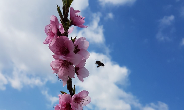 Bildschirmfoto 2018-05-09 um 22.48.31.png