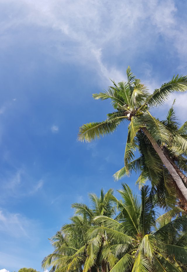 20180520_073033.jpg