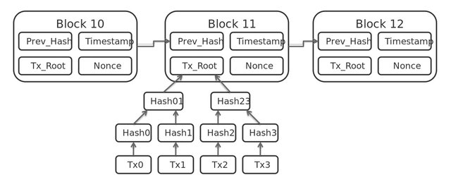 Bitcoin_Block_Data.jpg