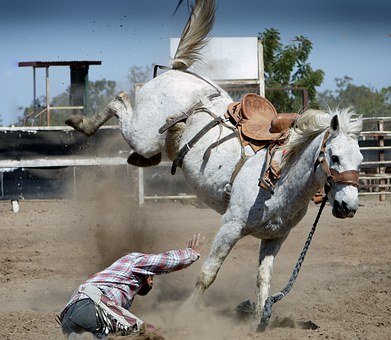 rodeo-1010051__340.jpg