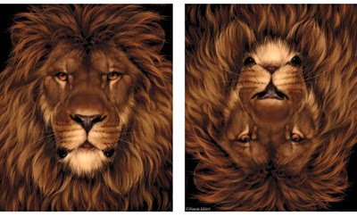 lionillusion (1).jpg