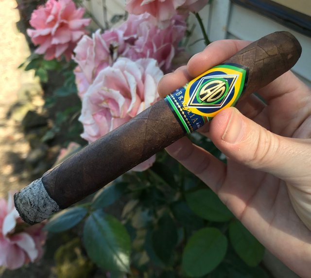 Buy CAO Brazilia  Cigars Online At Discount Prices & Save Big