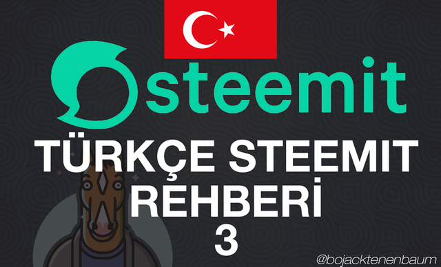 steemitturkce3.png