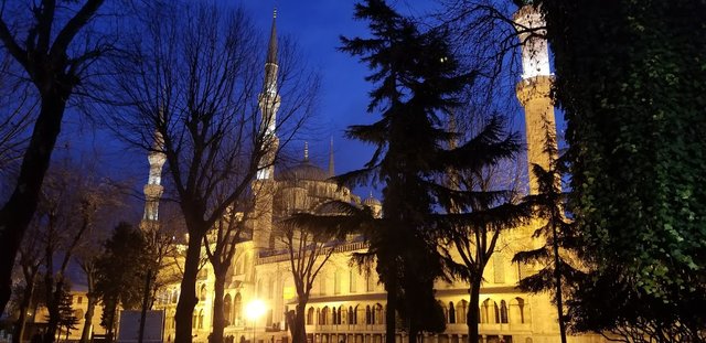 blue mosque inside view.jpg