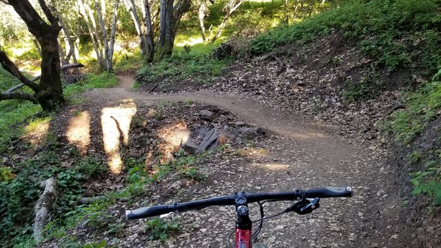 singletrack.jpg