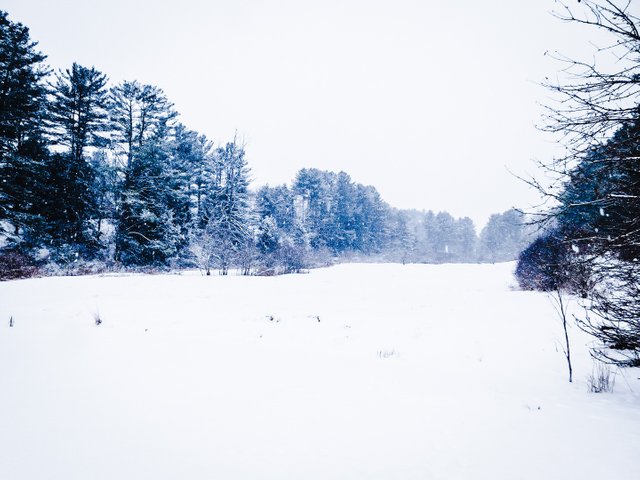winterwonderland1.jpg