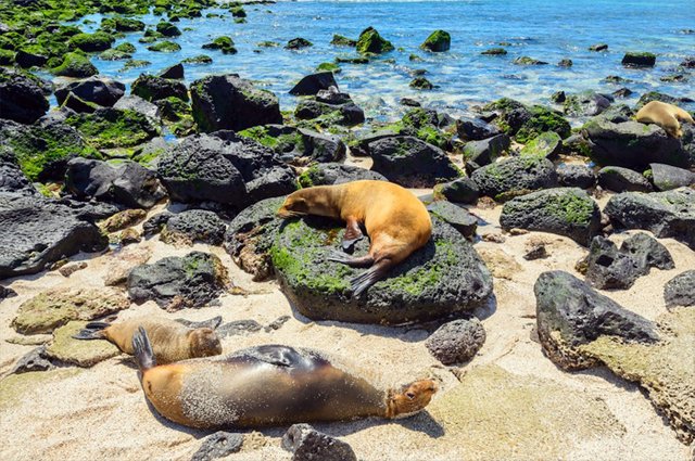 The-Galapagos-Islands.jpg