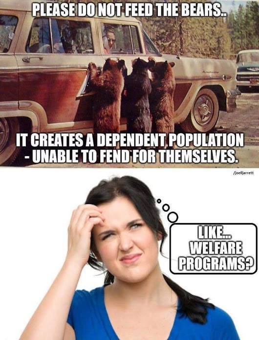 welfare bears.jpg