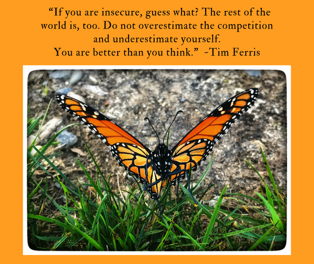 Butterfly Quote.png