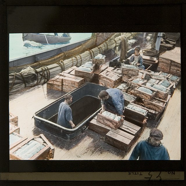 Daily Life of Sailors On-board in the 1900s (48).jpg