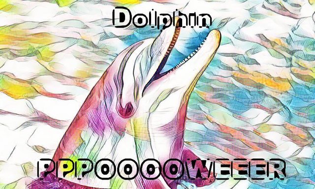 dolphinpower.jpg