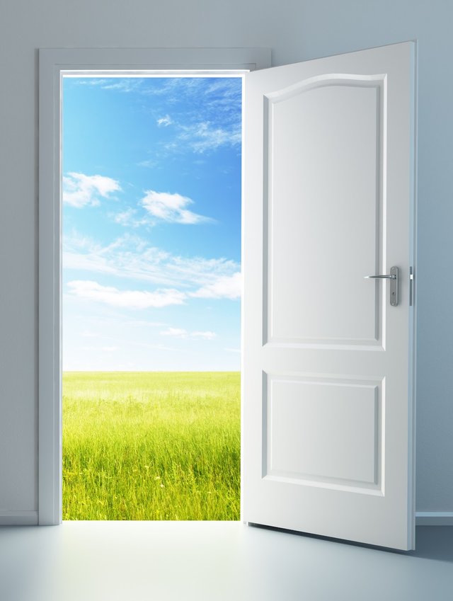 Open Door pic crop.jpg