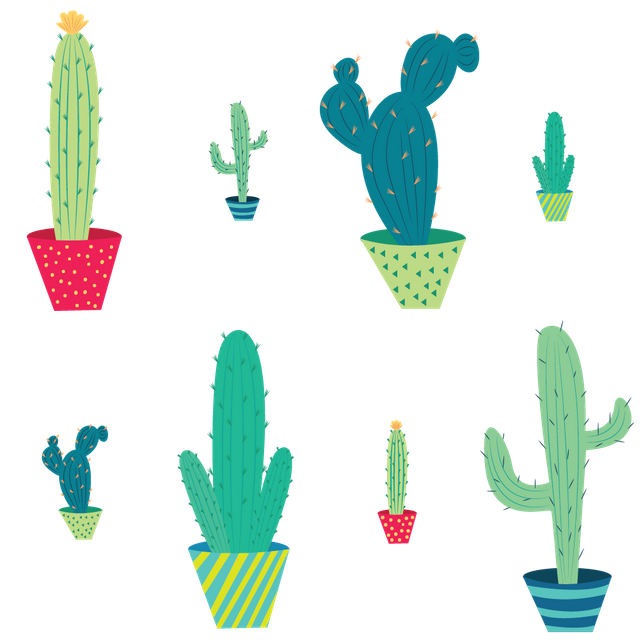 Cactus Patern-01.png