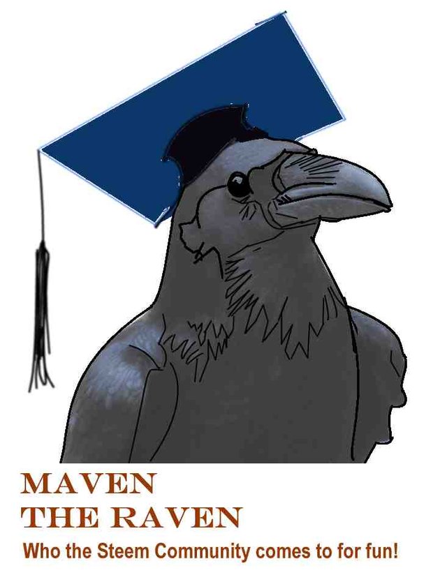 maventheraven.jpg