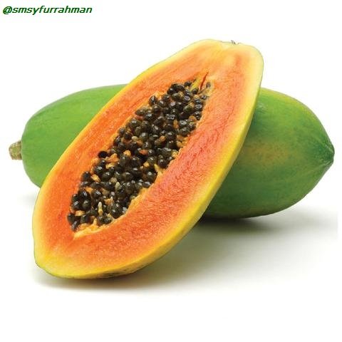 papaya_large.jpg