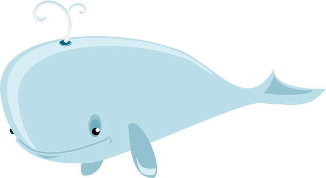 whale-36828_640.png
