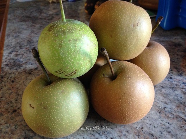 Asian Pears.JPG