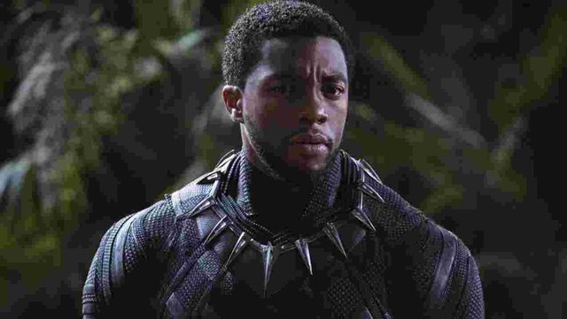 636526458976202193-BlackPanther596d2f0946755.jpg