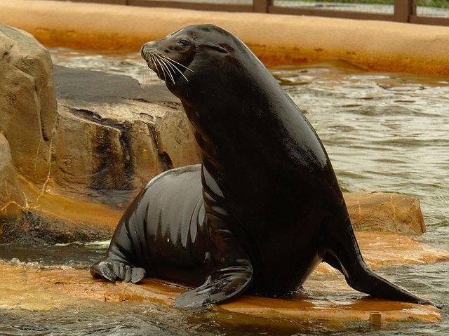 20171005_OmahaZoo98.jpg