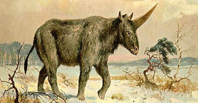 ilmuwan-temukan-tengkorak-unicorn-siberia-berusia-29-000-tahun-AWQv0Vjy8j.jpg