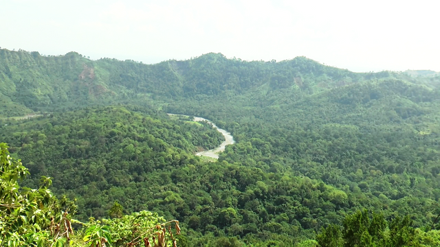 hutan wakaf-2.png