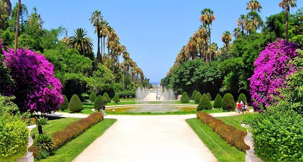 jardin-d-essais-alger.jpg