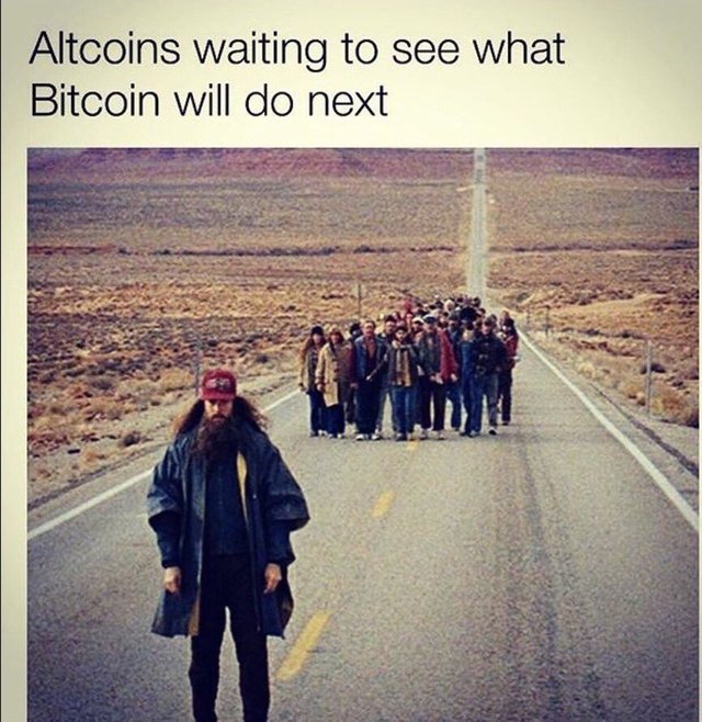 altcoins.waiting.jpg