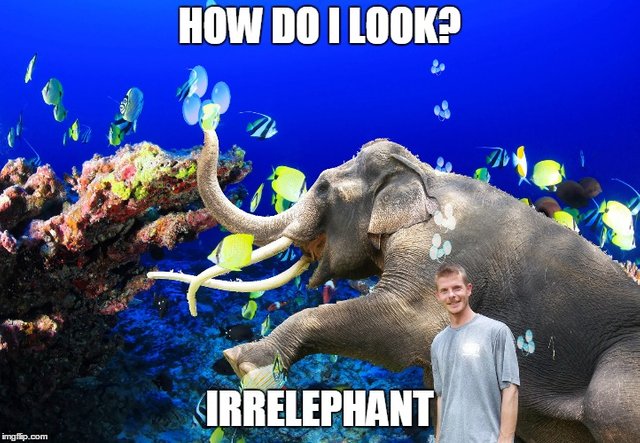 Irrelephant.jpg