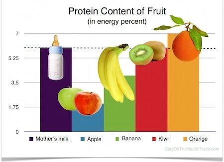 ProteinContentOfFruit.jpg