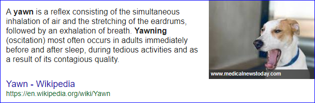 yawn.PNG