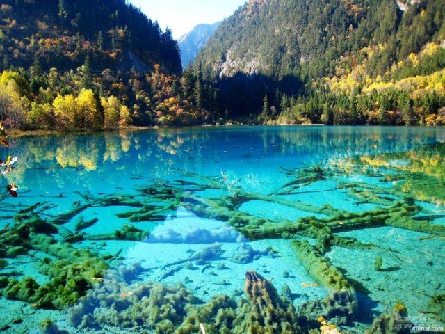 jiuzhaigou-valley 6.jpg