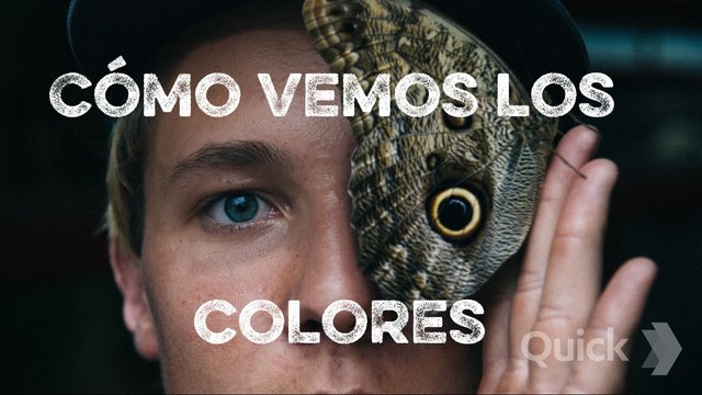 Colores.jpg