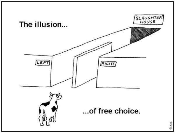 freewill-illusion.jpg