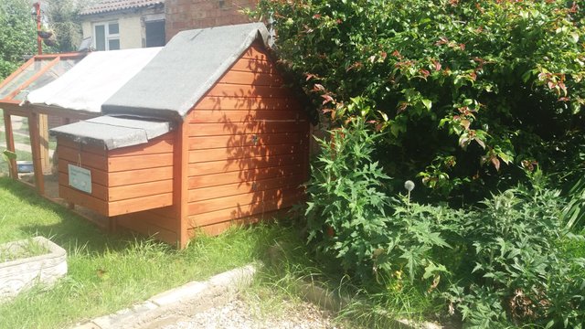 20170603_105945.jpg