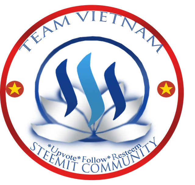 viet5.png