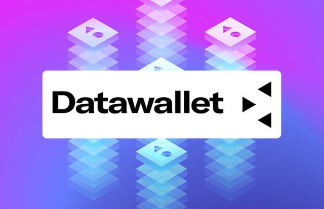 9. datawallet.jpg