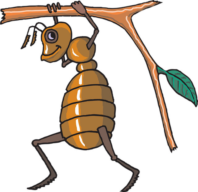 ant-44586_960_720.png