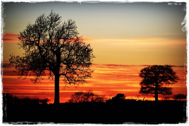 sunset.JPG