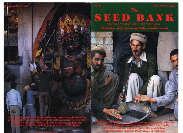 seedbank1cover.jpg