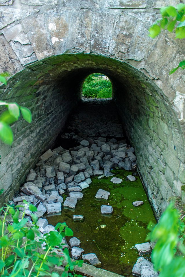 Dondorfer-See-Tunnel.jpg