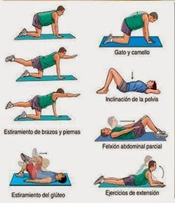 Ejercicios básicos para tratar dolores de espalda — Steemit