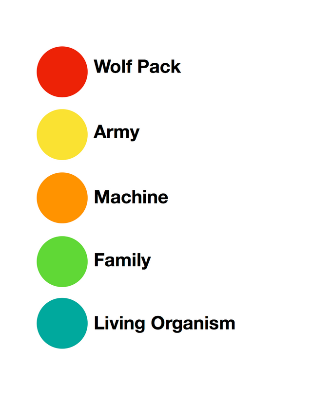 Teal-Organizations.png