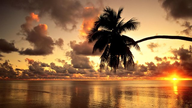 Hawaii-Beach-Wallpaper-HD_8pA2vrZ.jpg