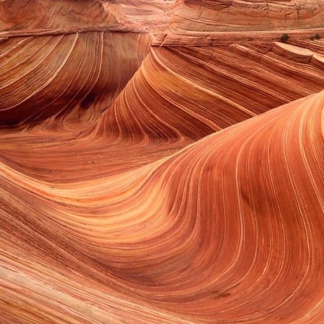 Coyote Buttes The Wave.jpg
