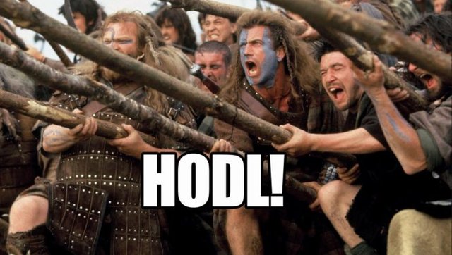 Crypto-Hodl-Bitcoin-Braveheart-700x396.jpg