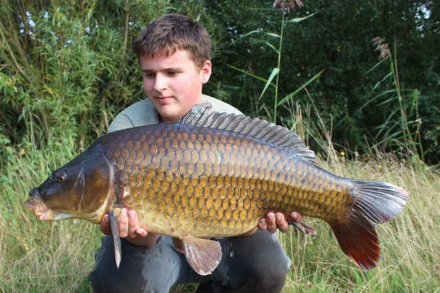 alderfen white tip common dales 033.JPG