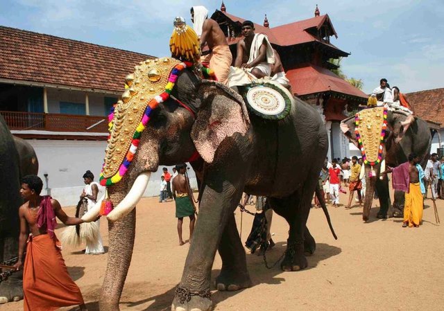 Elephant-in-Thrippunithura-Kerala-1068x750.jpg