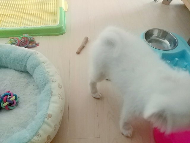 KakaoTalk_20180220_002029768.jpg